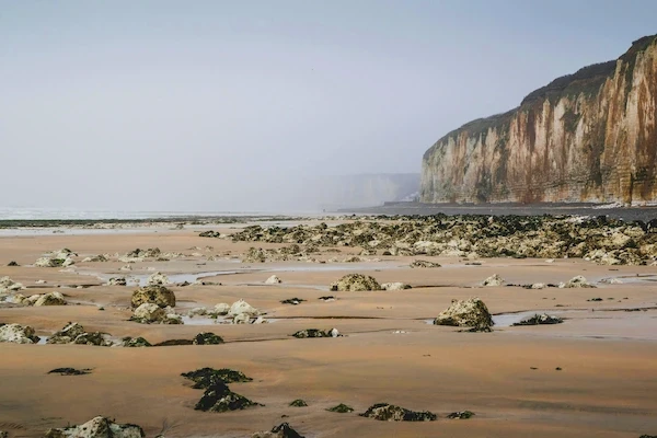 Plage et falaises de Veules-les-Roses sur la côte d’Albâtre en Normandie