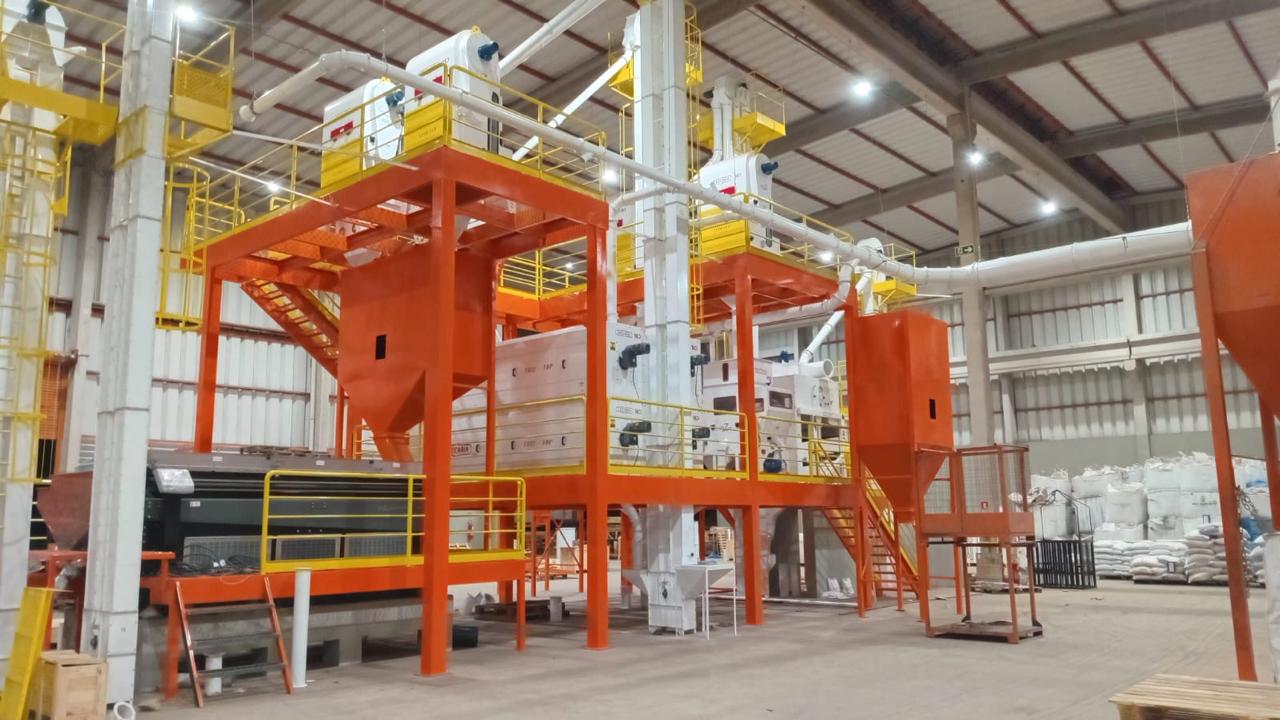 woman in blue tank top standing beside white wall