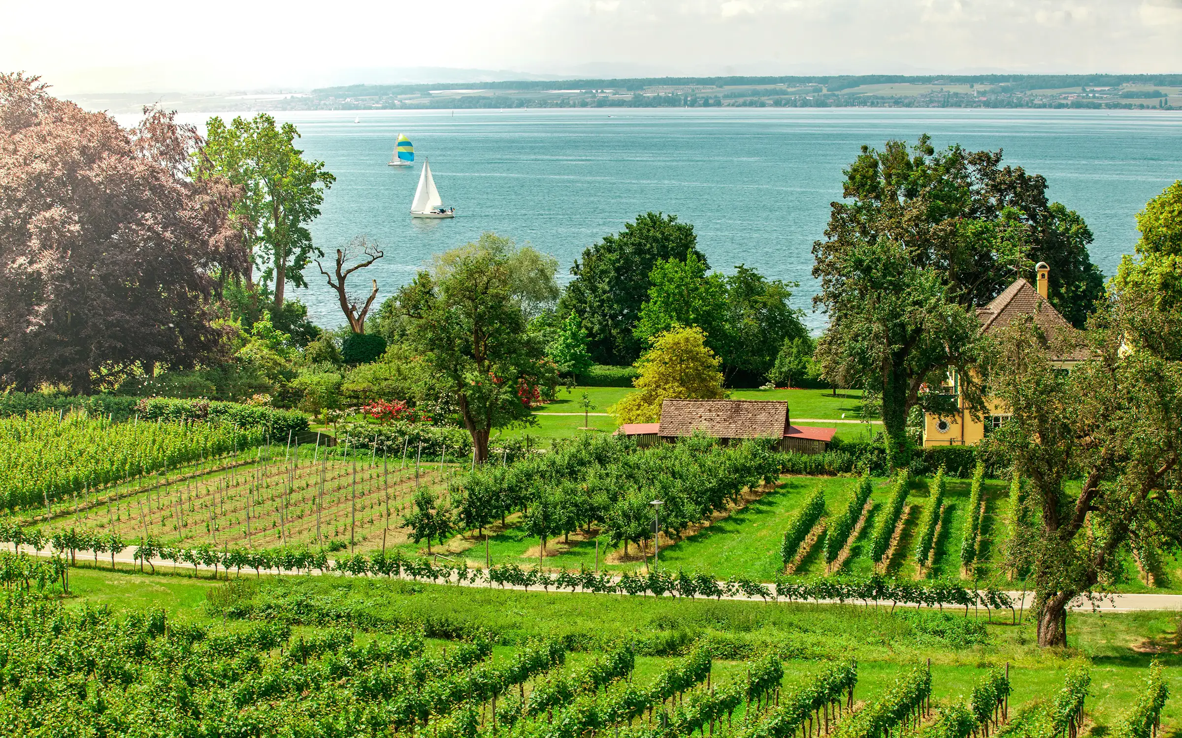 Bodensjøen Rundt – en sykkeltur i Tyskland, Sveits og Østerrike | Expa Travel