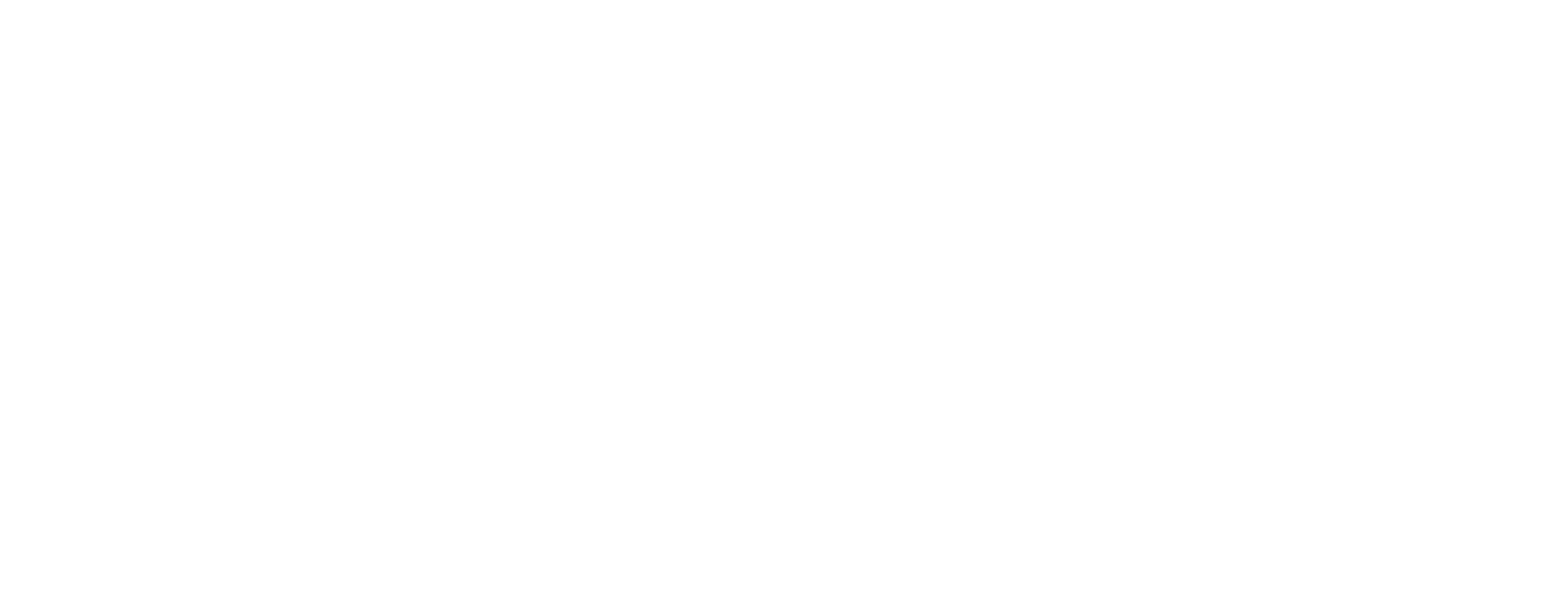NFI Logo
