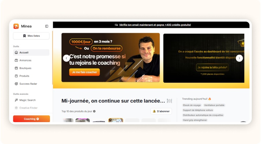 Minea interface