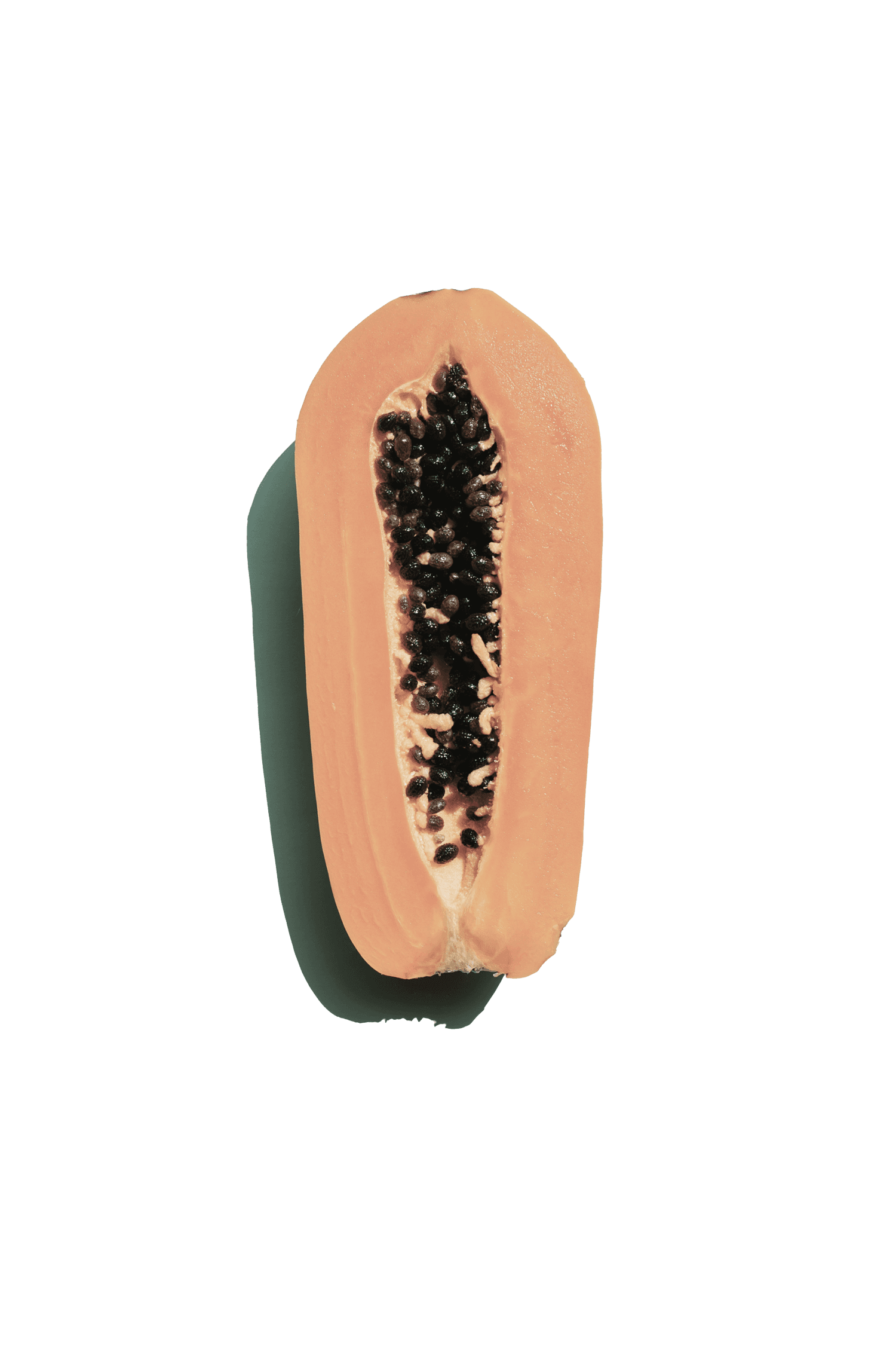 papaya 