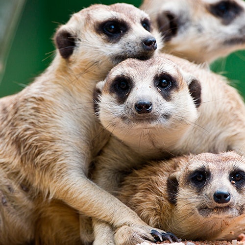 Terra Natura Murcia: Inträdesbiljetter i Murcia