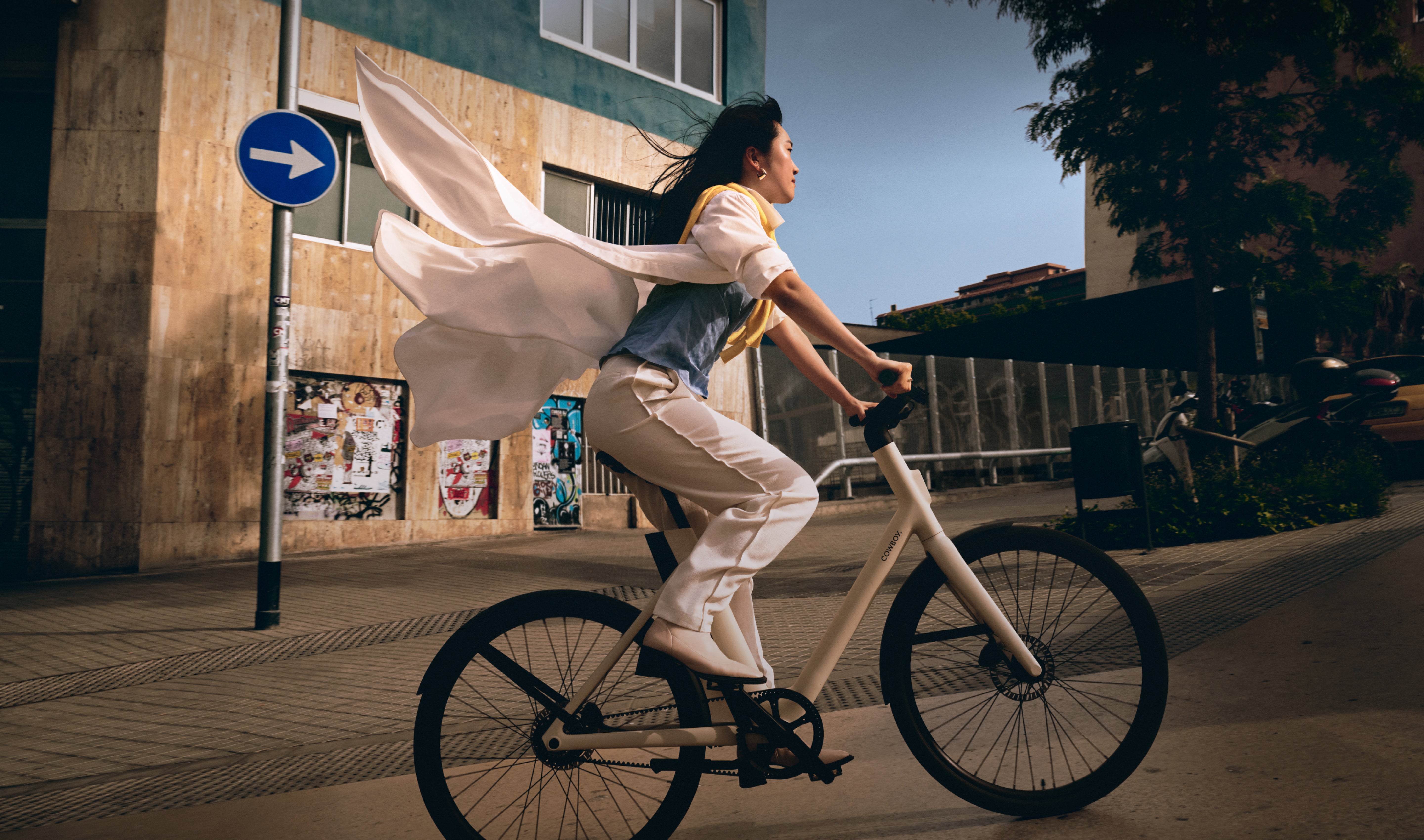 General counsel mentoring