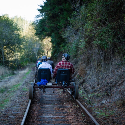 Four people riding a pedal-powered rail vehicle through a forested area, surrounded by trees and bushes.