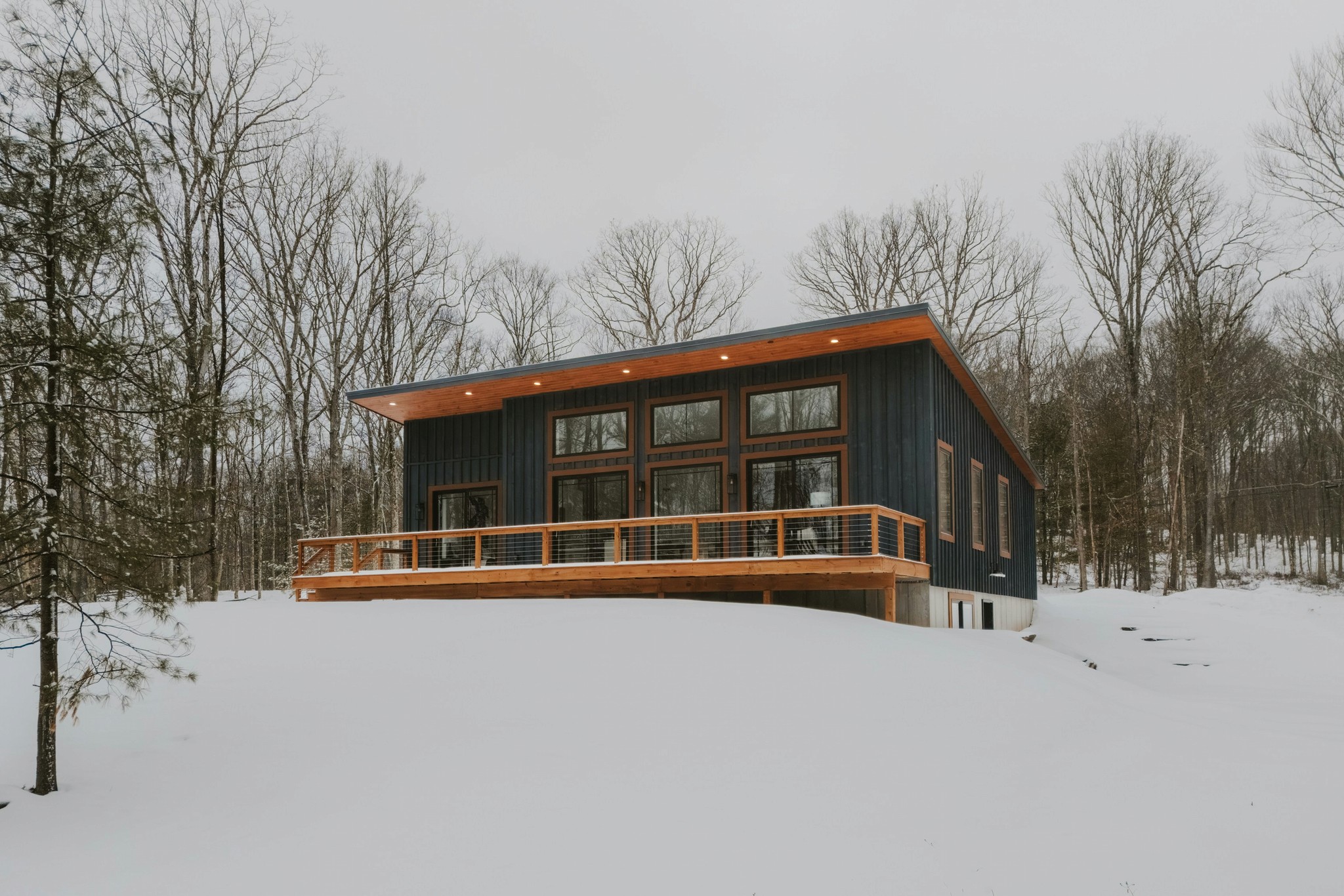 Cabin in the woods