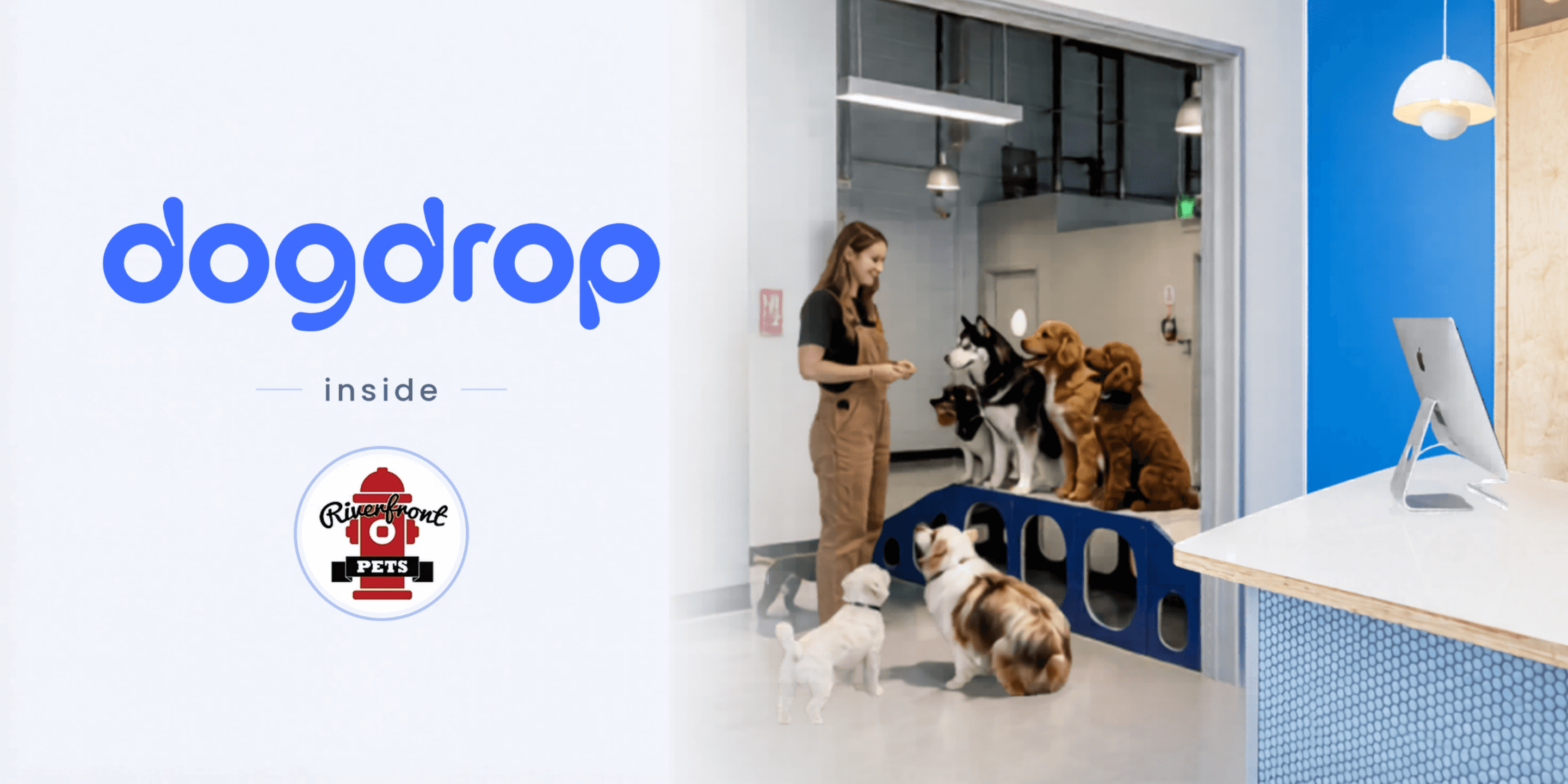 Dog Daycare in Wilmington, DE