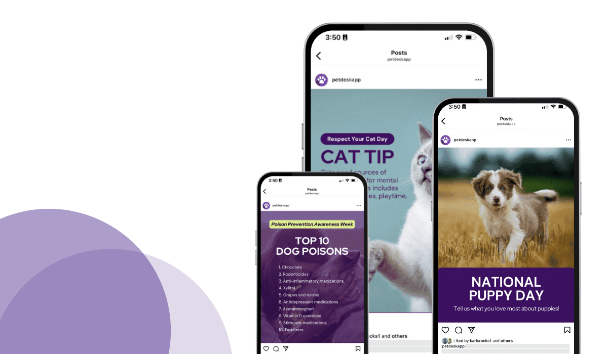 9 fresh veterinary marketing ideas for March