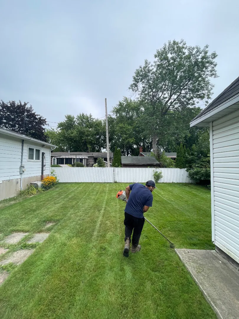 Tonte de pelous Renforts