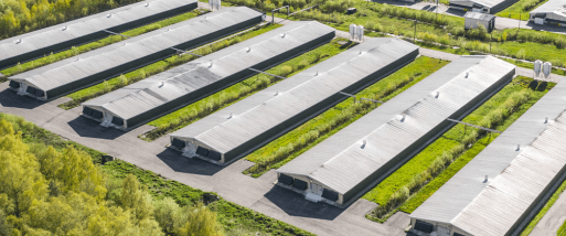Poultry farm