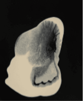 herd of sheep on road painting