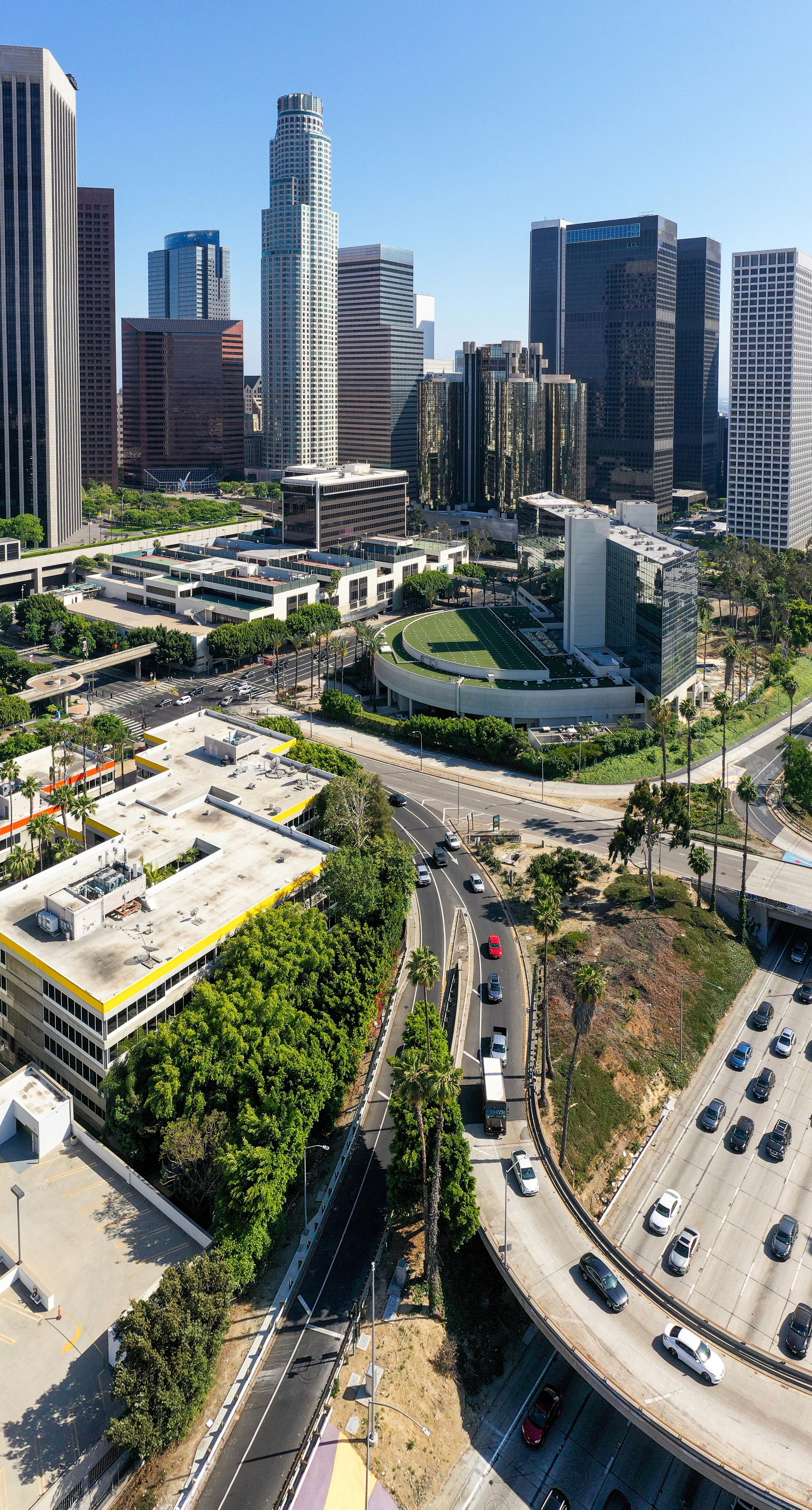 Close-up of a dark green leaf showing its textured surface and central vein against a muted background.