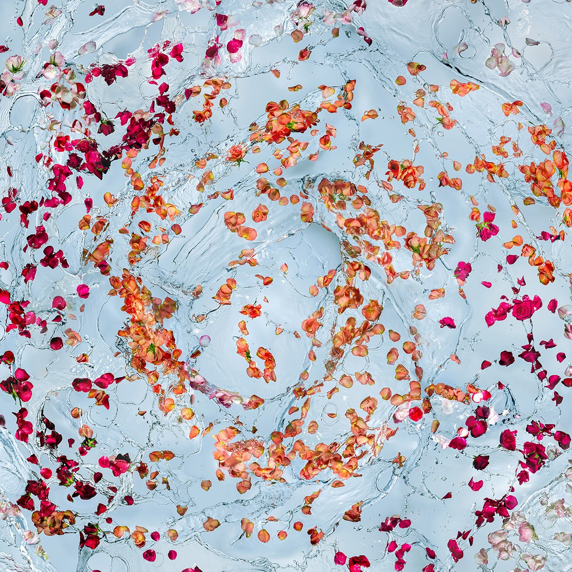husband and wife working happily on a laptop