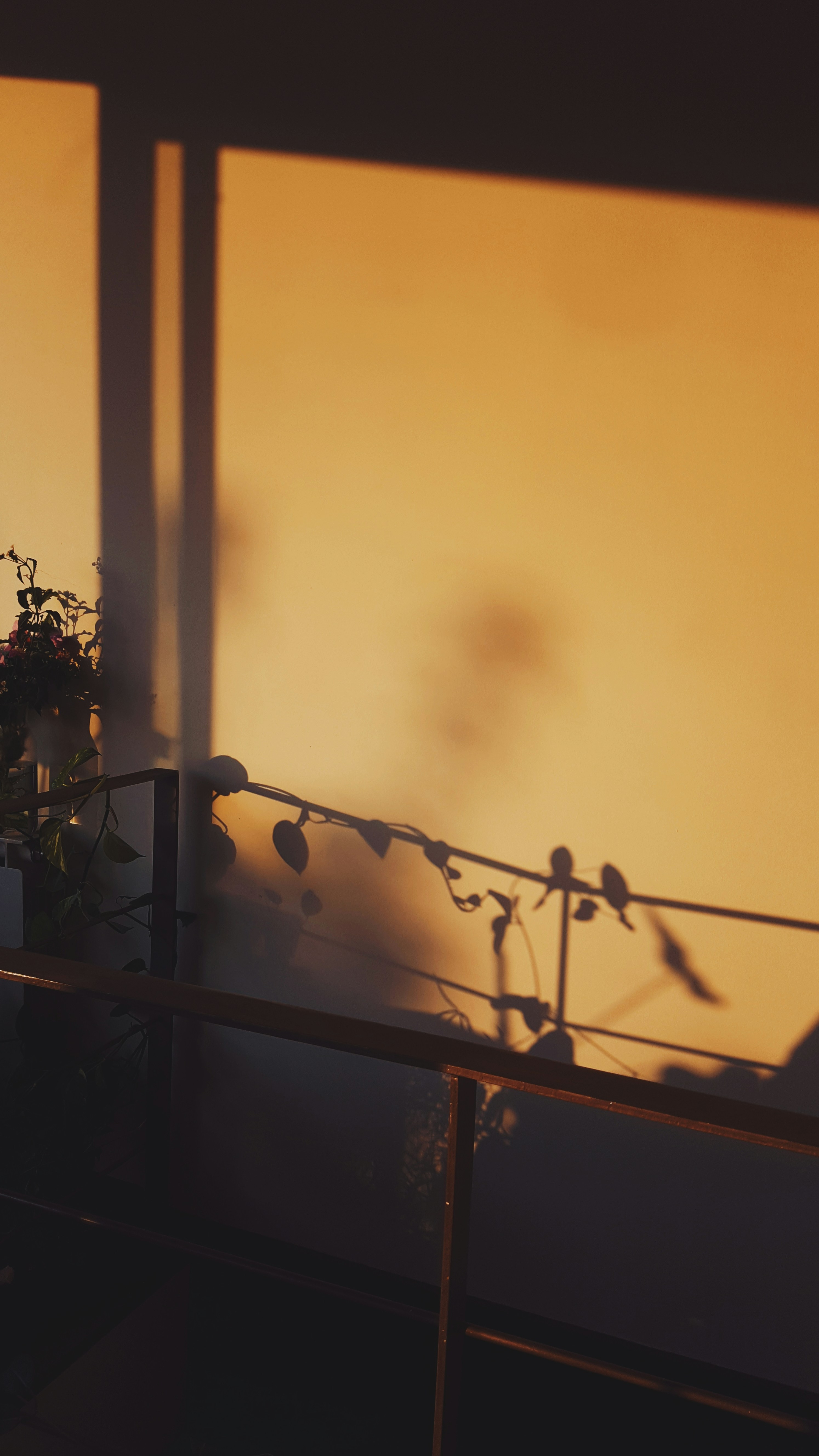 Warm, softly lit scene of a window at sunset with silhouetted plants and delicate string lights in the foreground.
