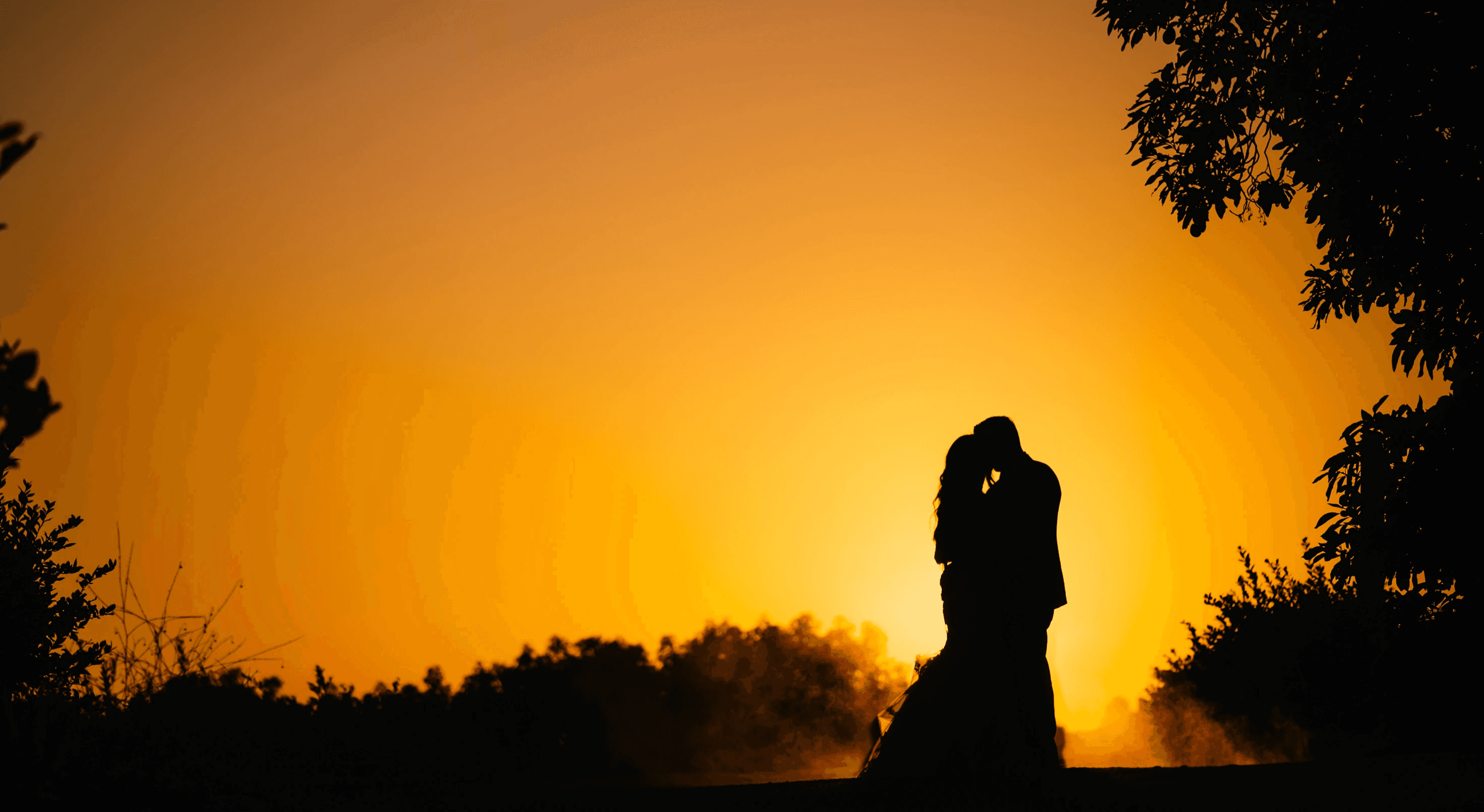 golden-hour silhouette on the dirt pathway in the farmland (dust kicked up behind them, yellow sky, trees as silhouettes, Gerry Ranch, Santa Rosa Valley, CA