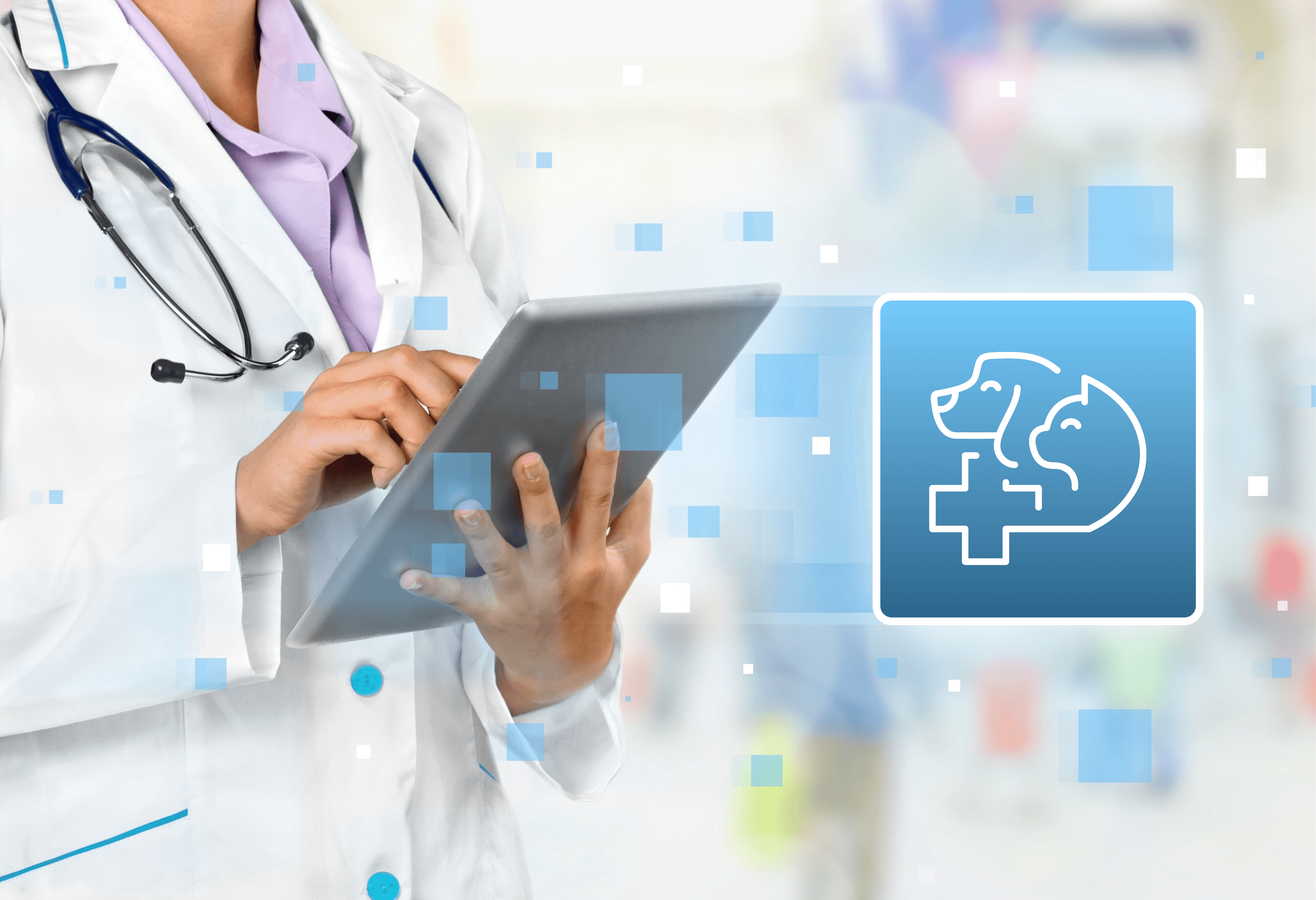 veterinarian using a tablet with concept of veterinary automation