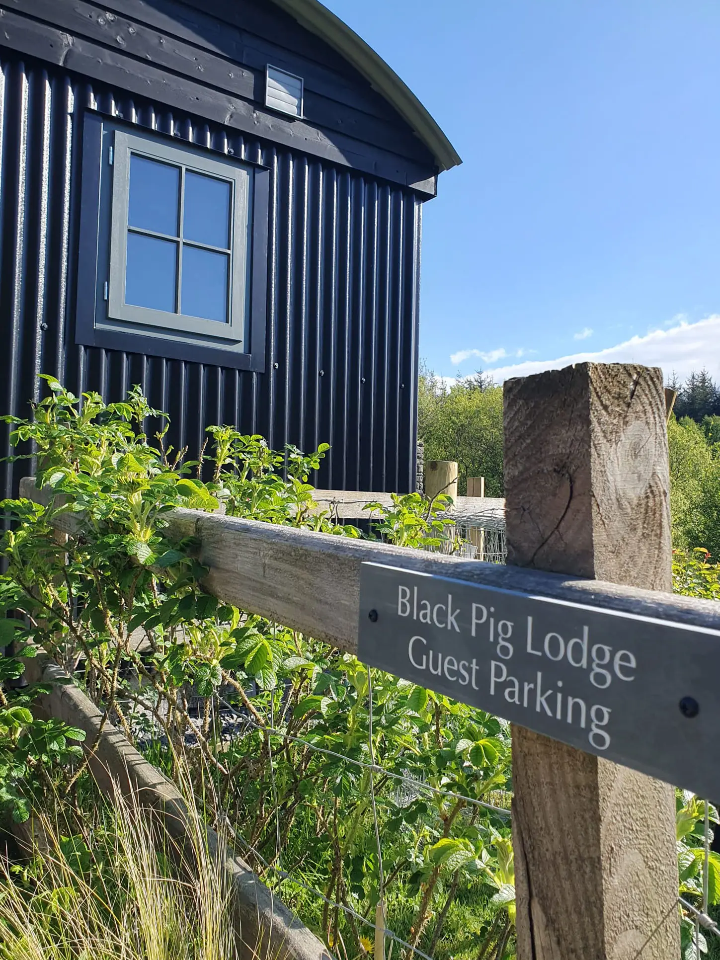 A wooden sign points toward a black building surrounded by greenery under a clear blue sky.