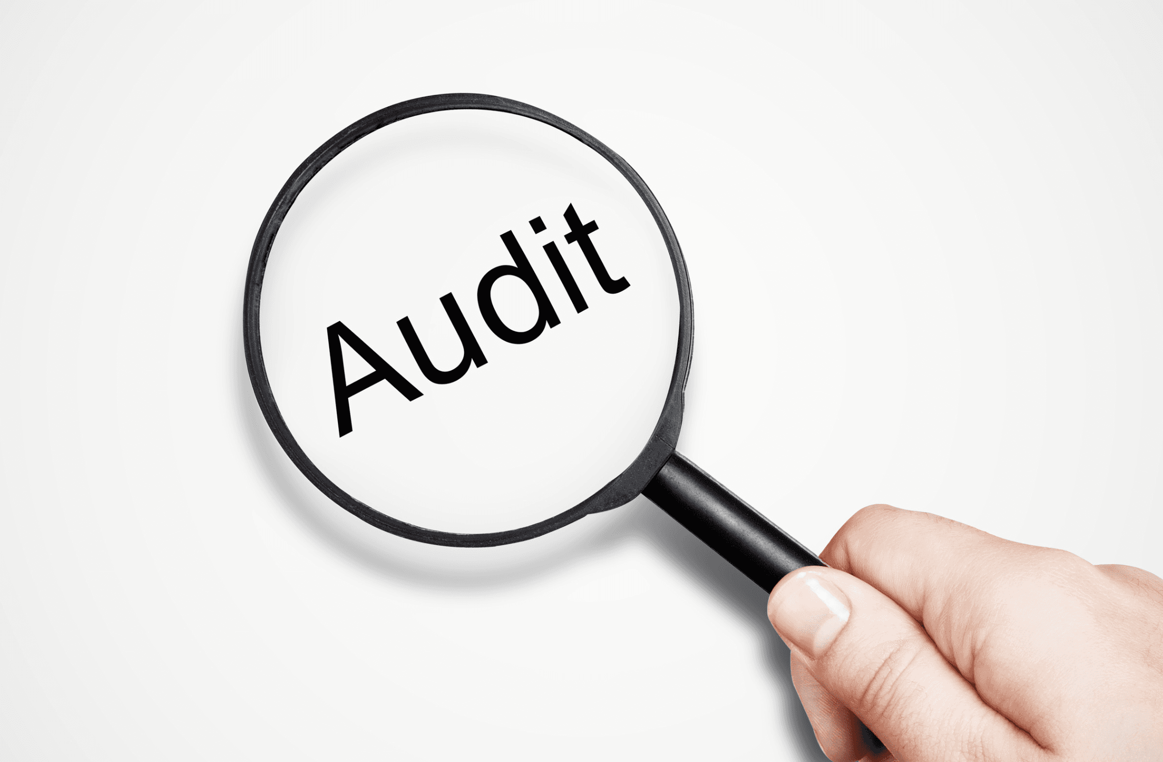 ndis audit