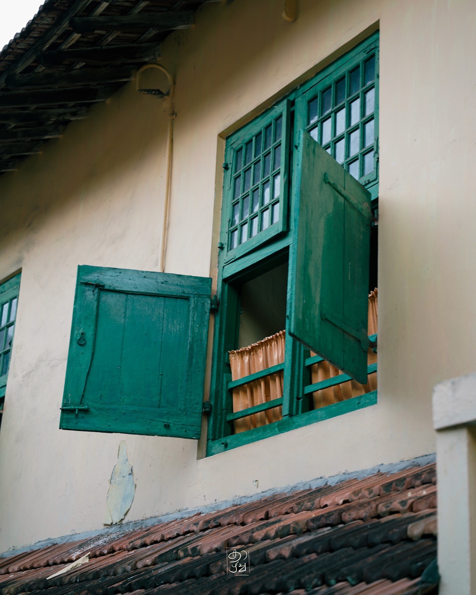 Green wooden shutters thrown open on a white wall