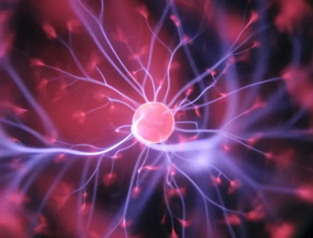 A nerve or neuron in the brain using sodium ions to communicate