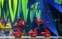 Artister i Cirque du Soleils föreställning OVO jonglerar med andra akrobater på sina utsträckta ben, samtidigt som dessa i sin tur jonglerar tallrikar med fötterna