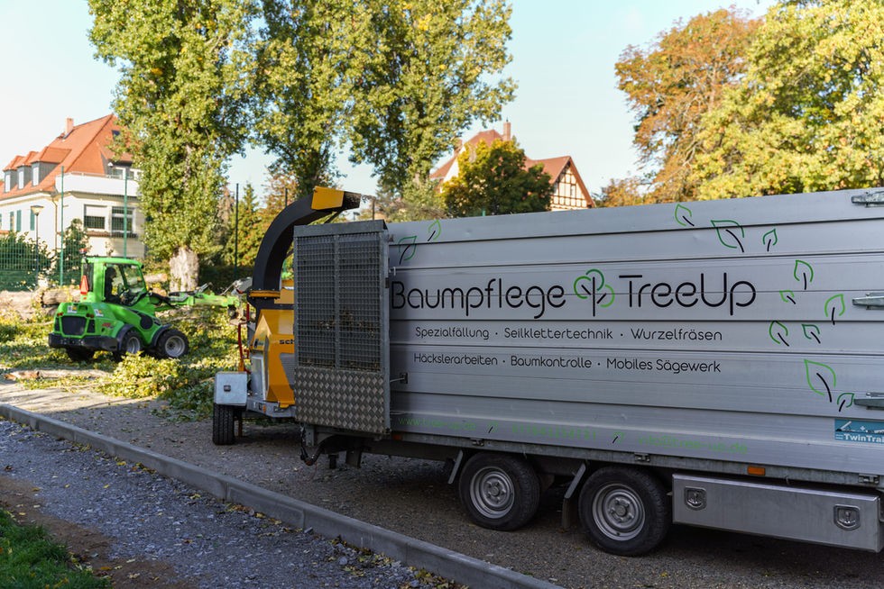 Seilklettertechnik zur Baumpflege, Baumkatastern, Obstbaumschnitt, Baumpflege, Pflege von Bäumen