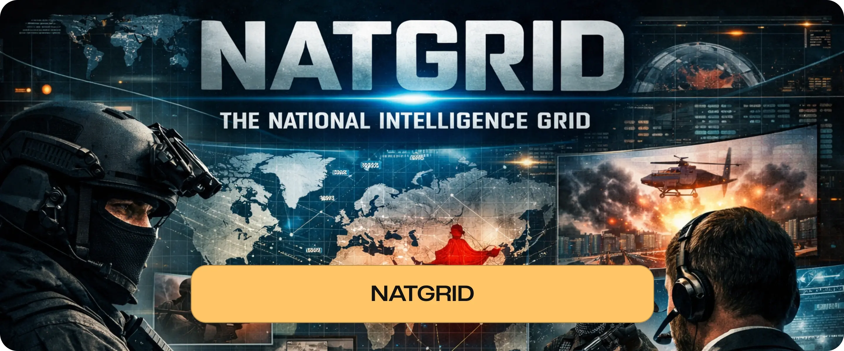 National Intelligence Grid (NATGRID)