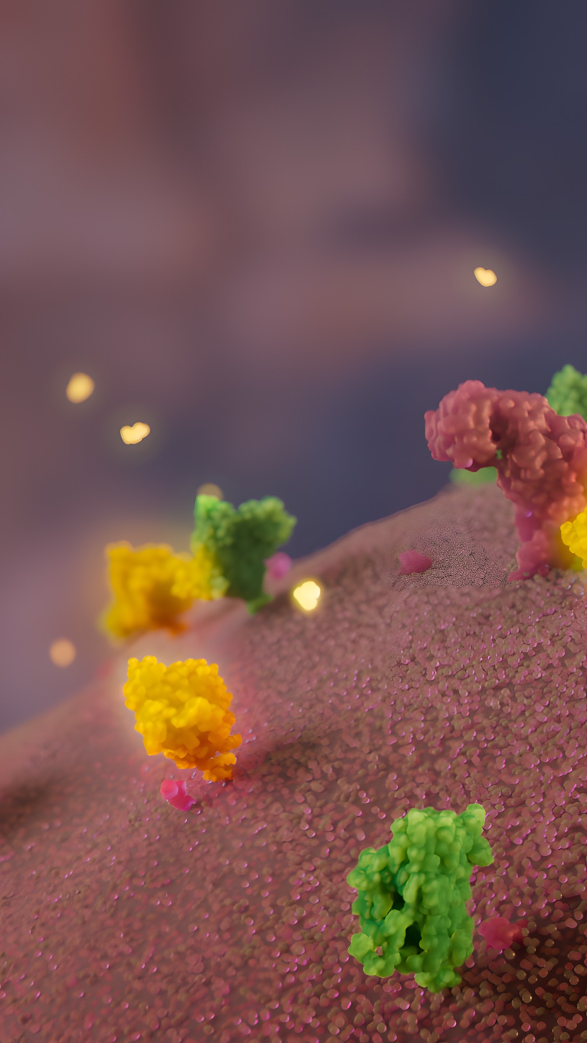 Radiotracer molecules approach genetycally engeneered epitopes on the cell surface