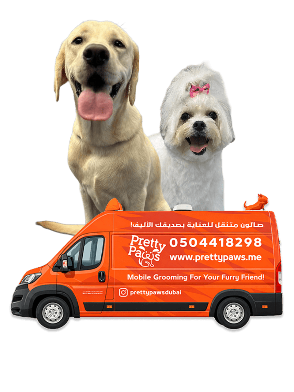 Mobile Grooming Animation Image