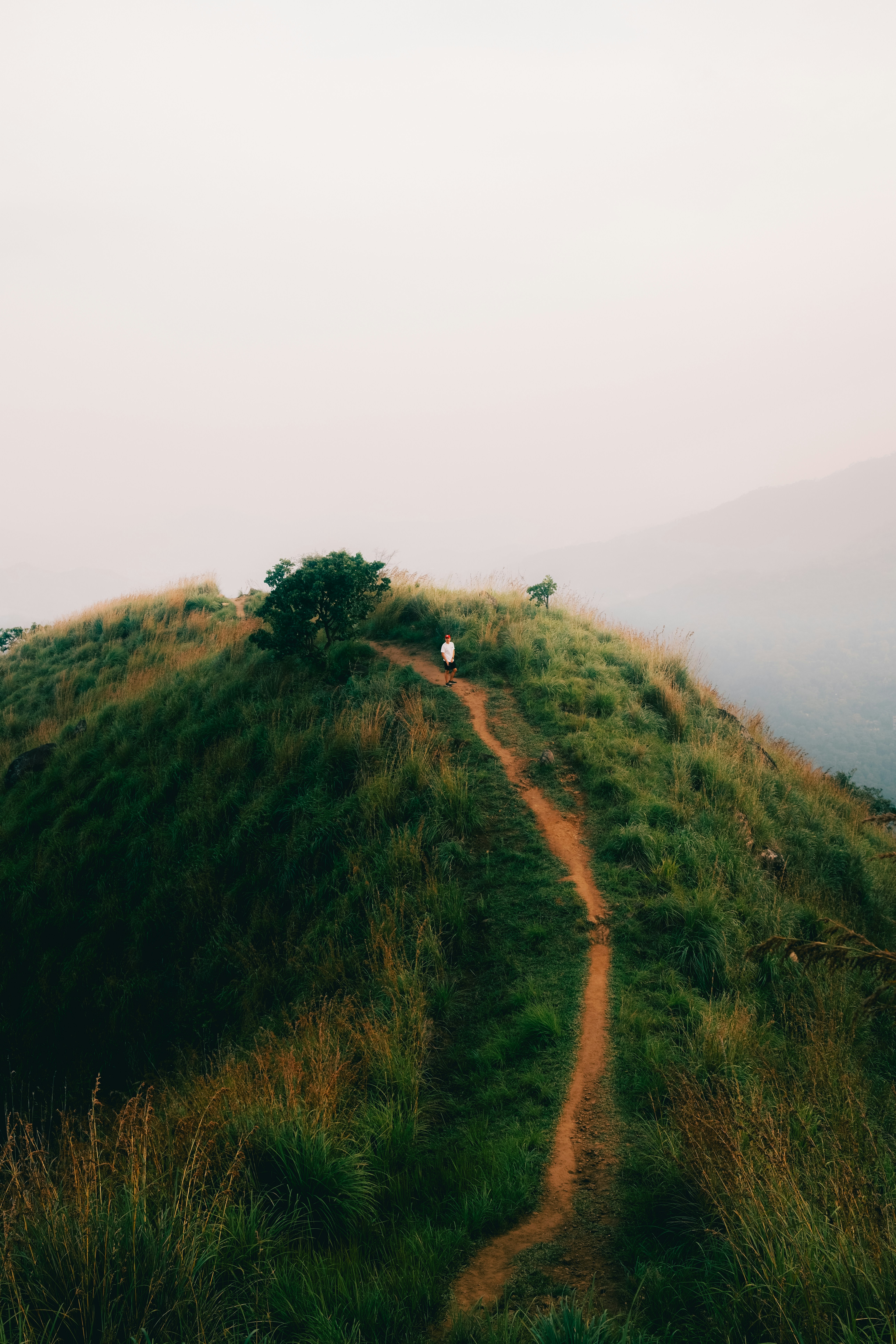A person walks a winding path up a grassy hill.