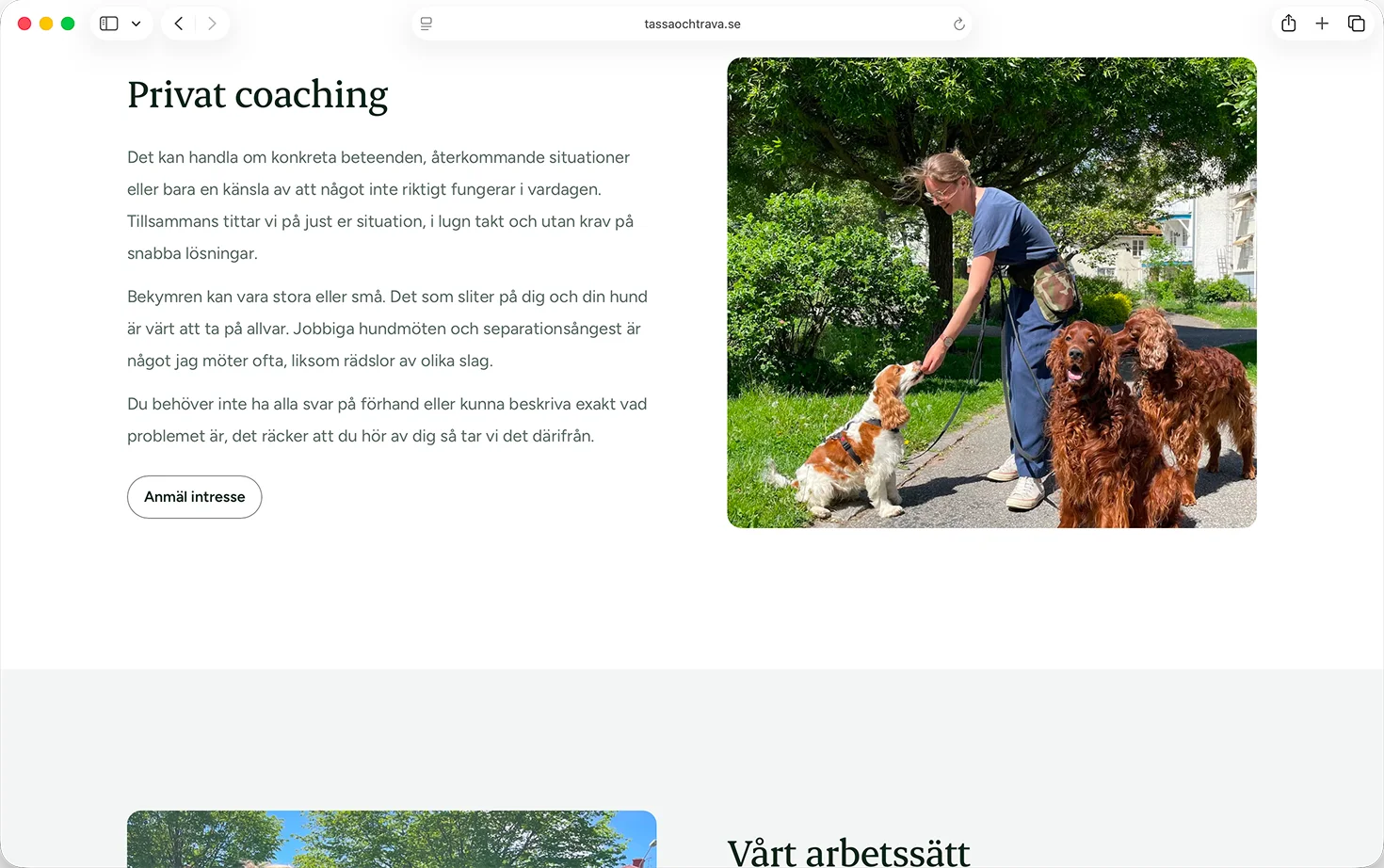 Avsnitt om privat hundcoaching på Tassa & Travas hemsida, med hundtränare och tre hundar utomhus.