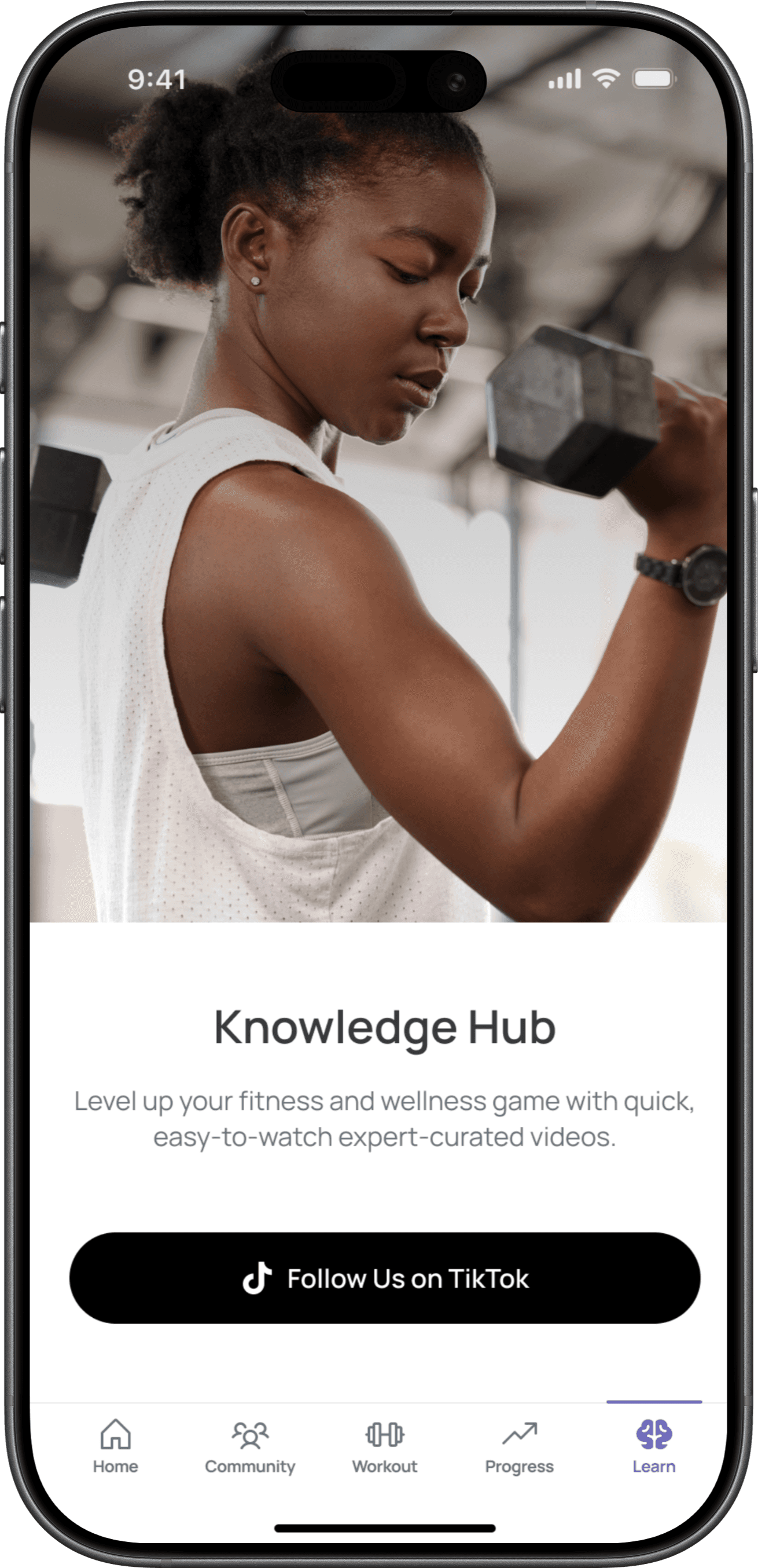 knowledge hub mockup