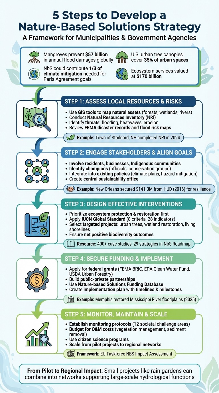 5-Step Nature-Based Solutions Strategy for Municipalities