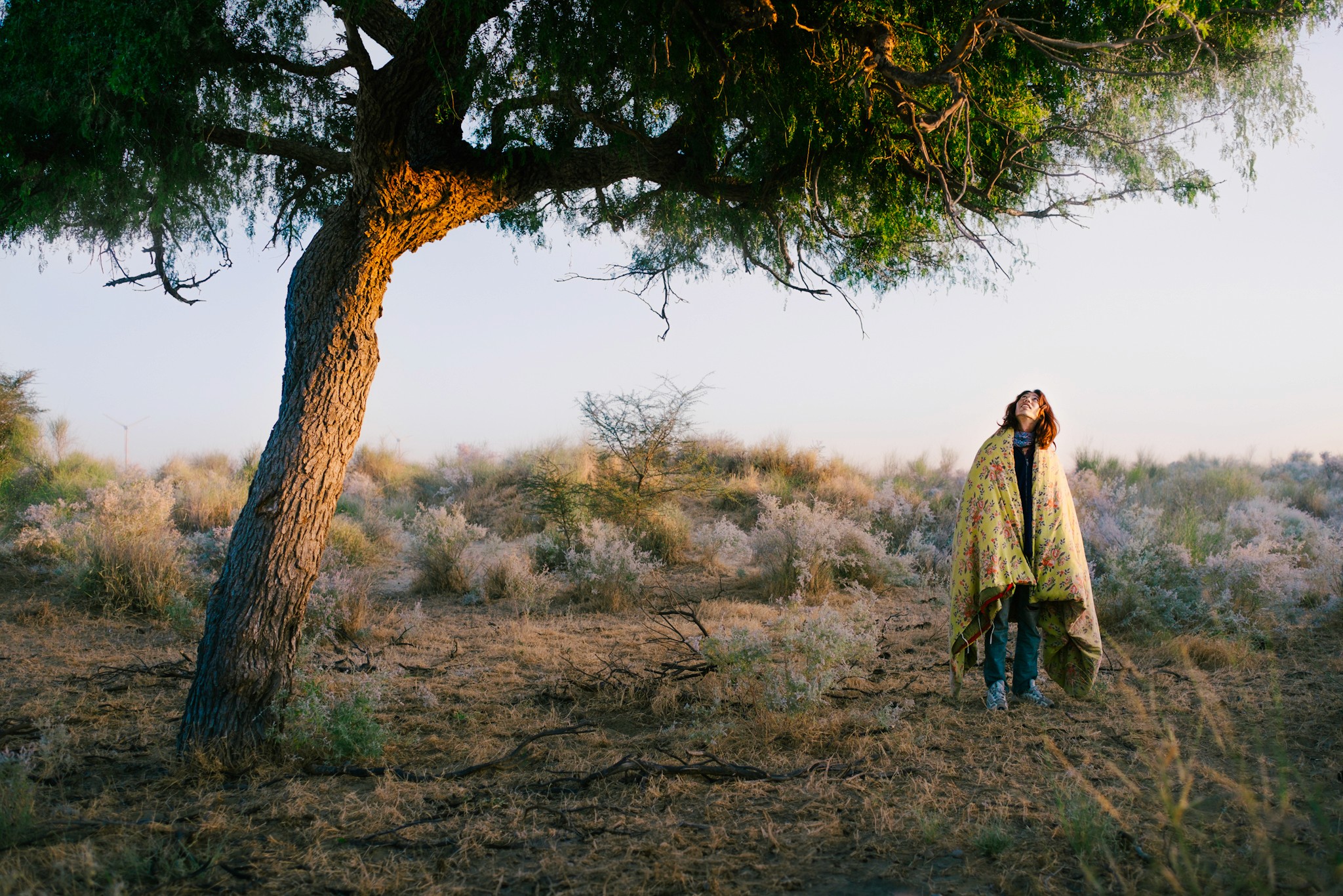 A japanese traveller wearing a quilt over them looking up at a tree in the desert