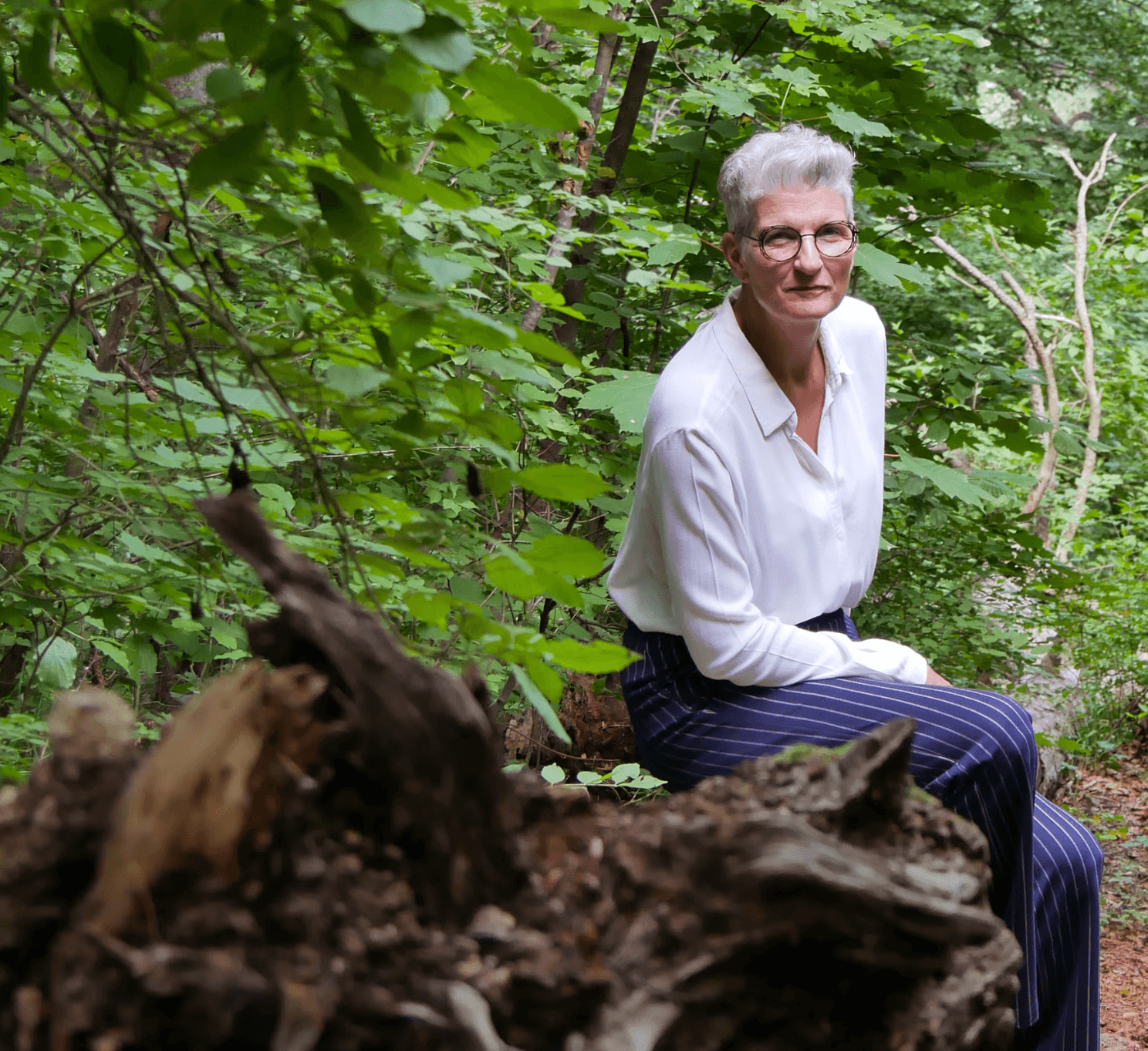 Person mit grauen Haaren und Brille sitzt lächelnd auf einem umgestürzten Baumstamm in einem sonnendurchfluteten Wald. Sie trägt ein gestreiftes Oberteil und eine graue Hose und wirkt entspannt und fröhlich.