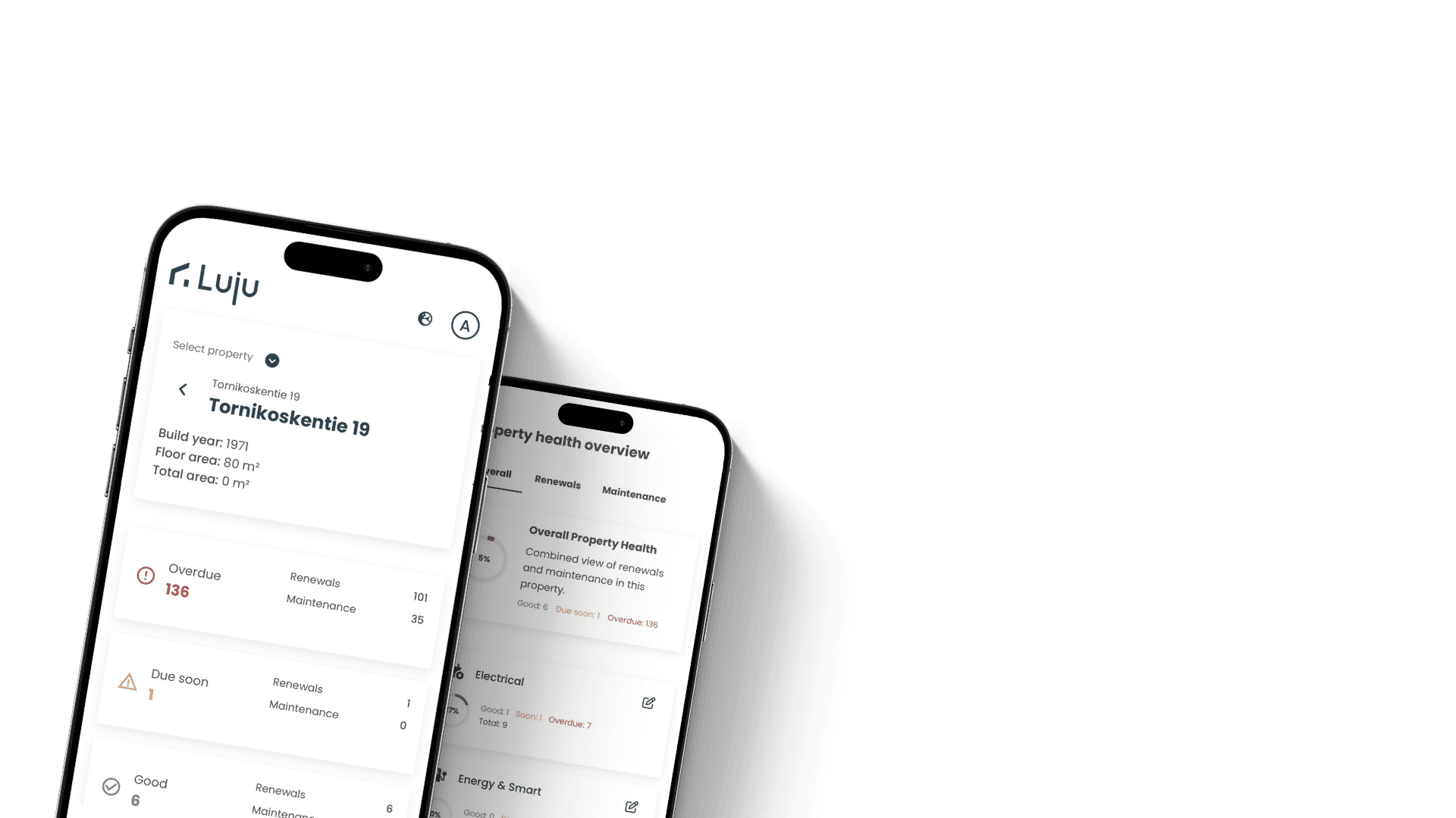 Person planting a houseplant and checking phone