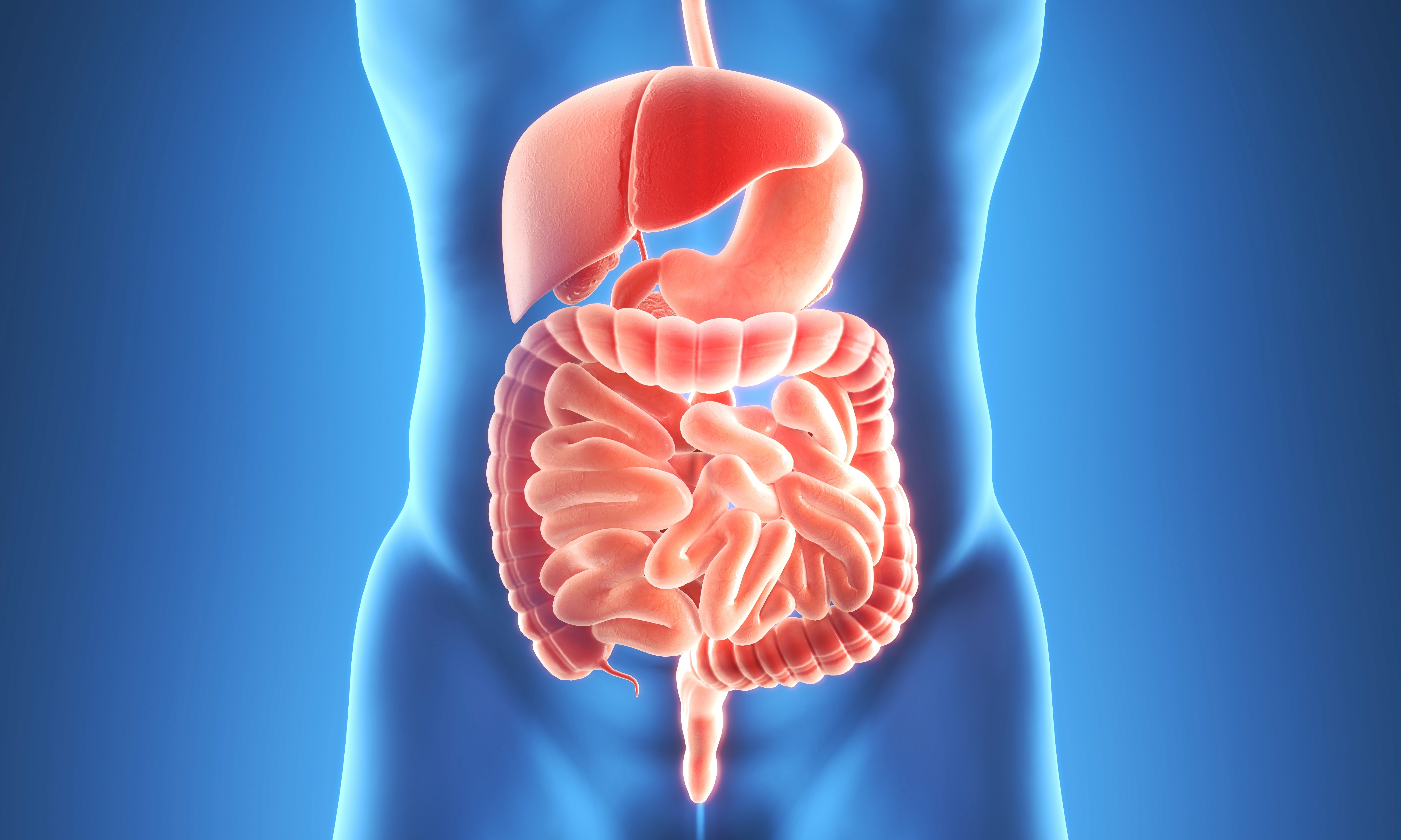 Sindirim Sistemi Hastalıkları: Nedenleri, Belirtileri ve Etkili Tedavi Yöntemleri