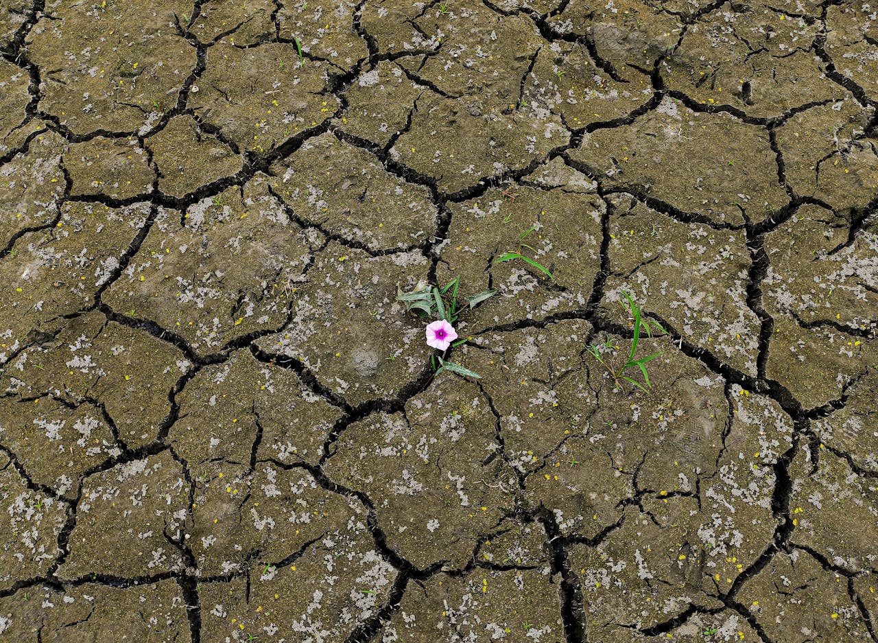 PriMove supporting UNICEF on climate-resilient rural sanitation design and delivery models