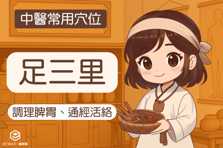 【中醫常用穴位】足三里穴