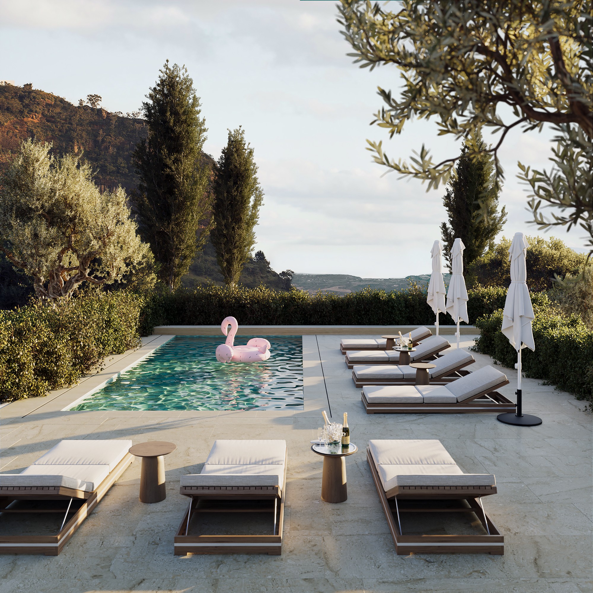 closeup photo of torn papers