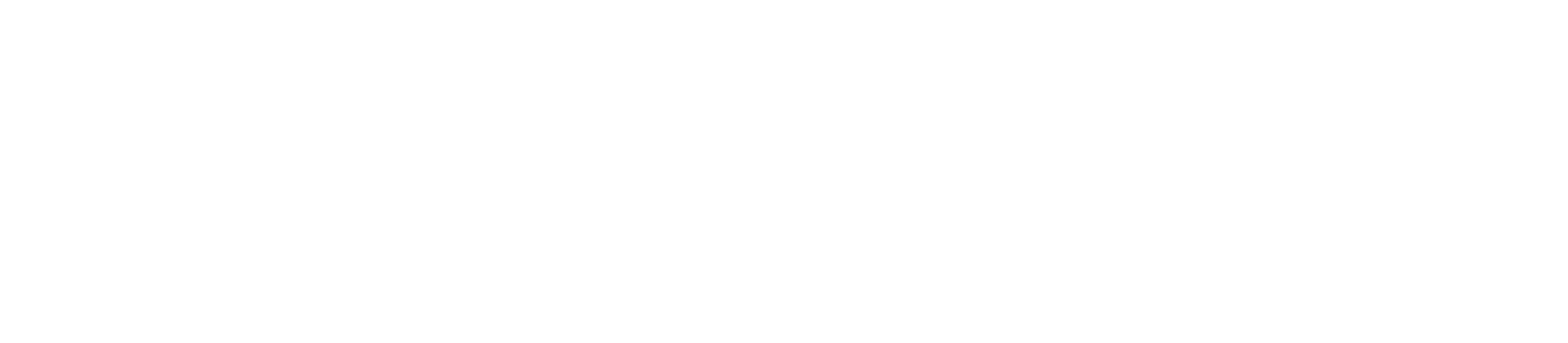 File Business Logo