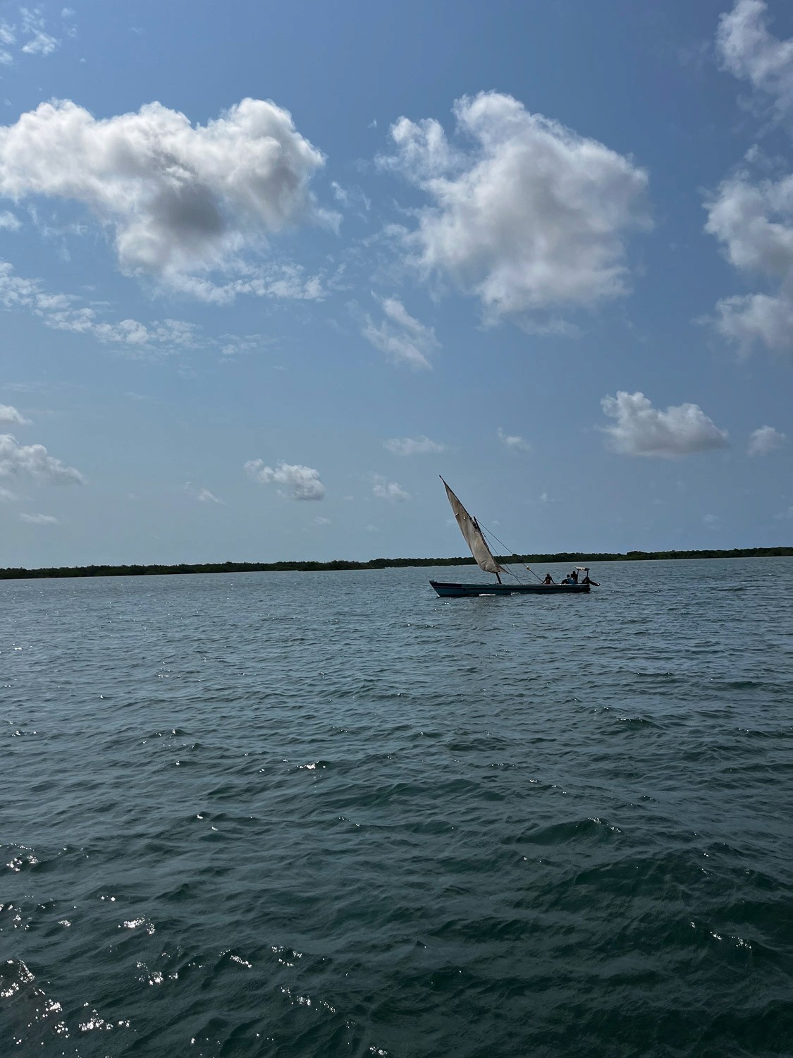 Dhow on the channel.