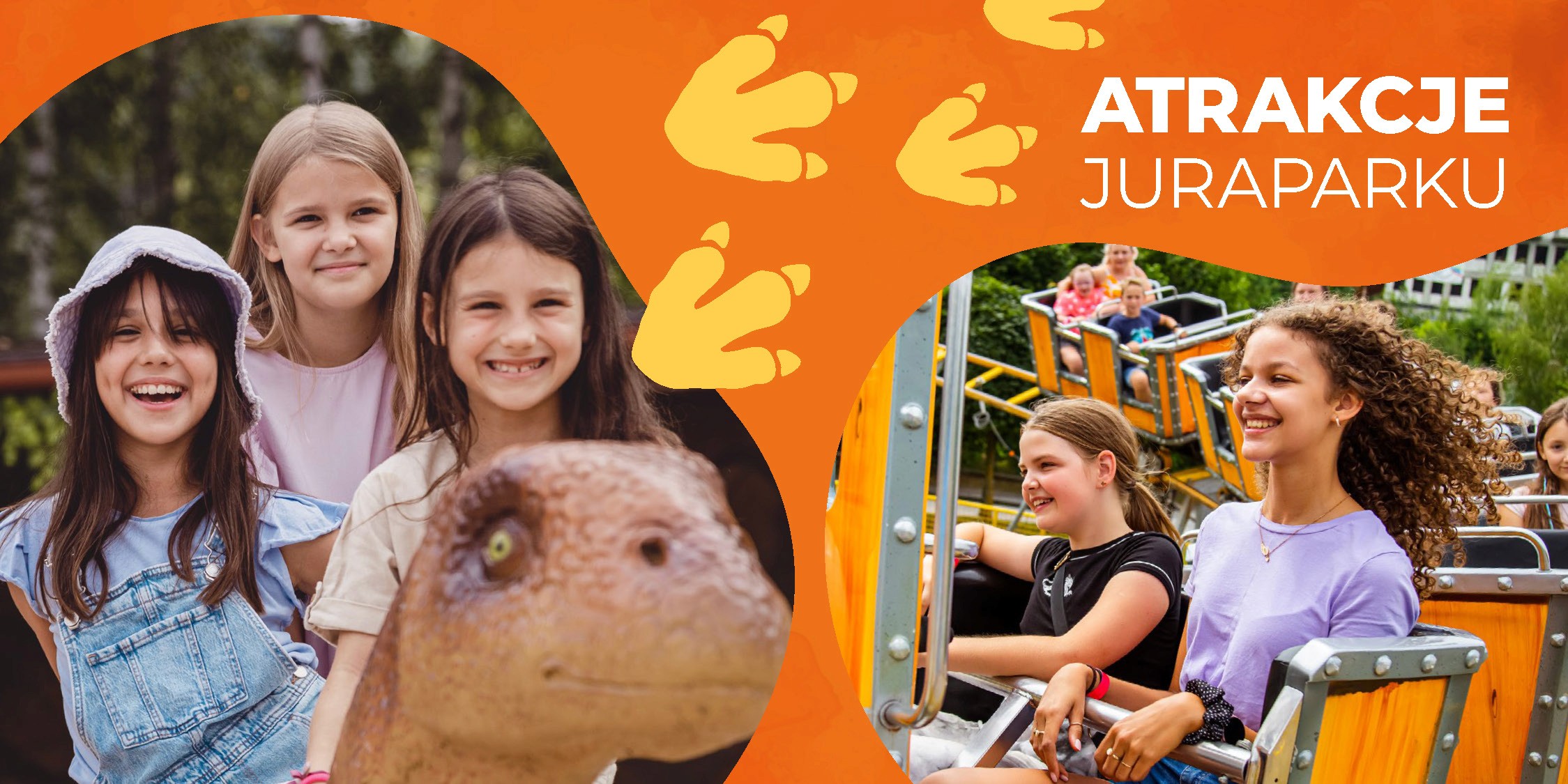 rozkładówka katalogu