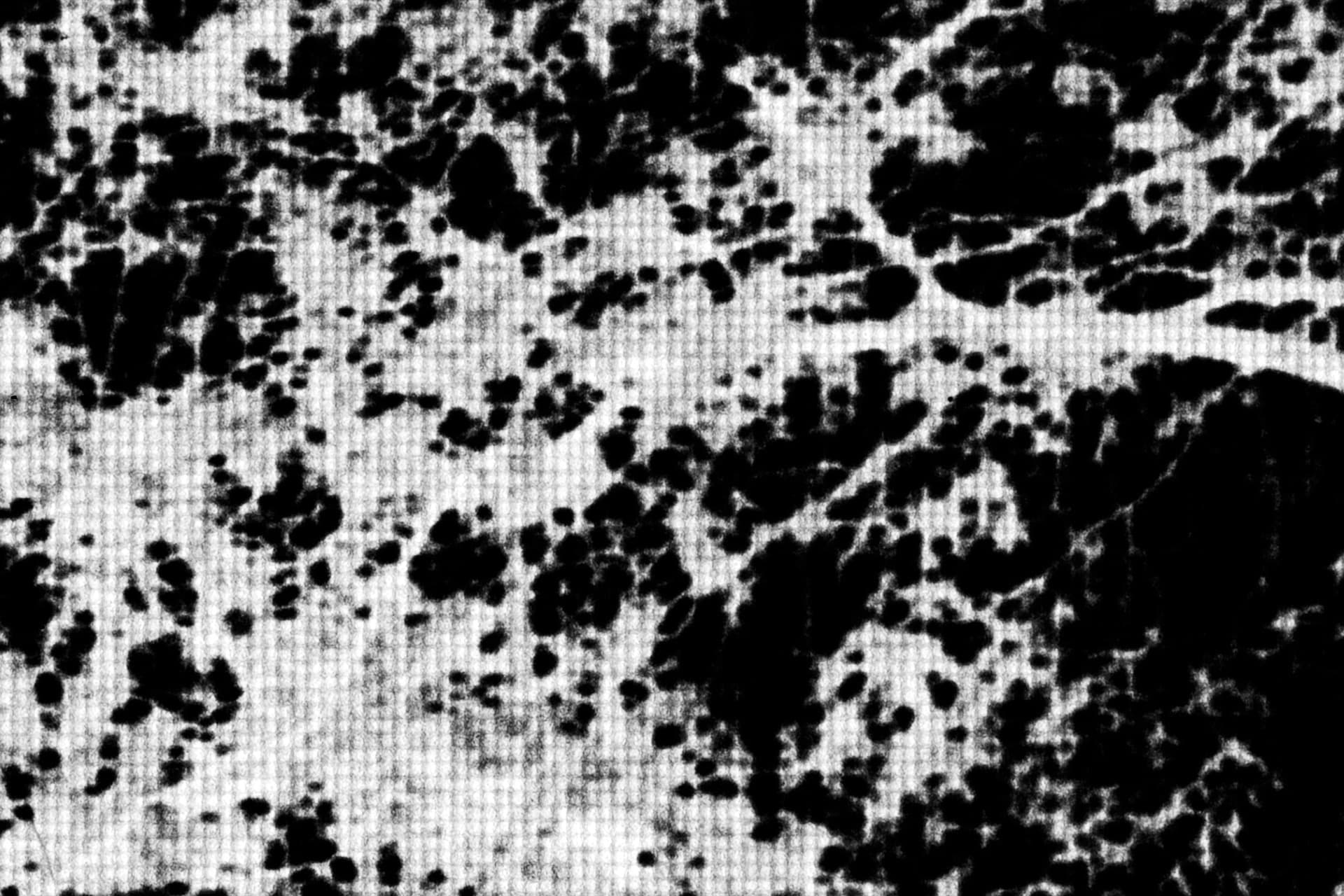 Macro photograph of overlapped film negatives showing organic shapes and perforations, dense grain structure creating textured abstract composition