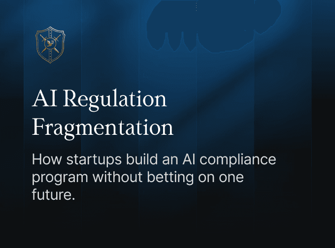 AI Regulation Fragmentation