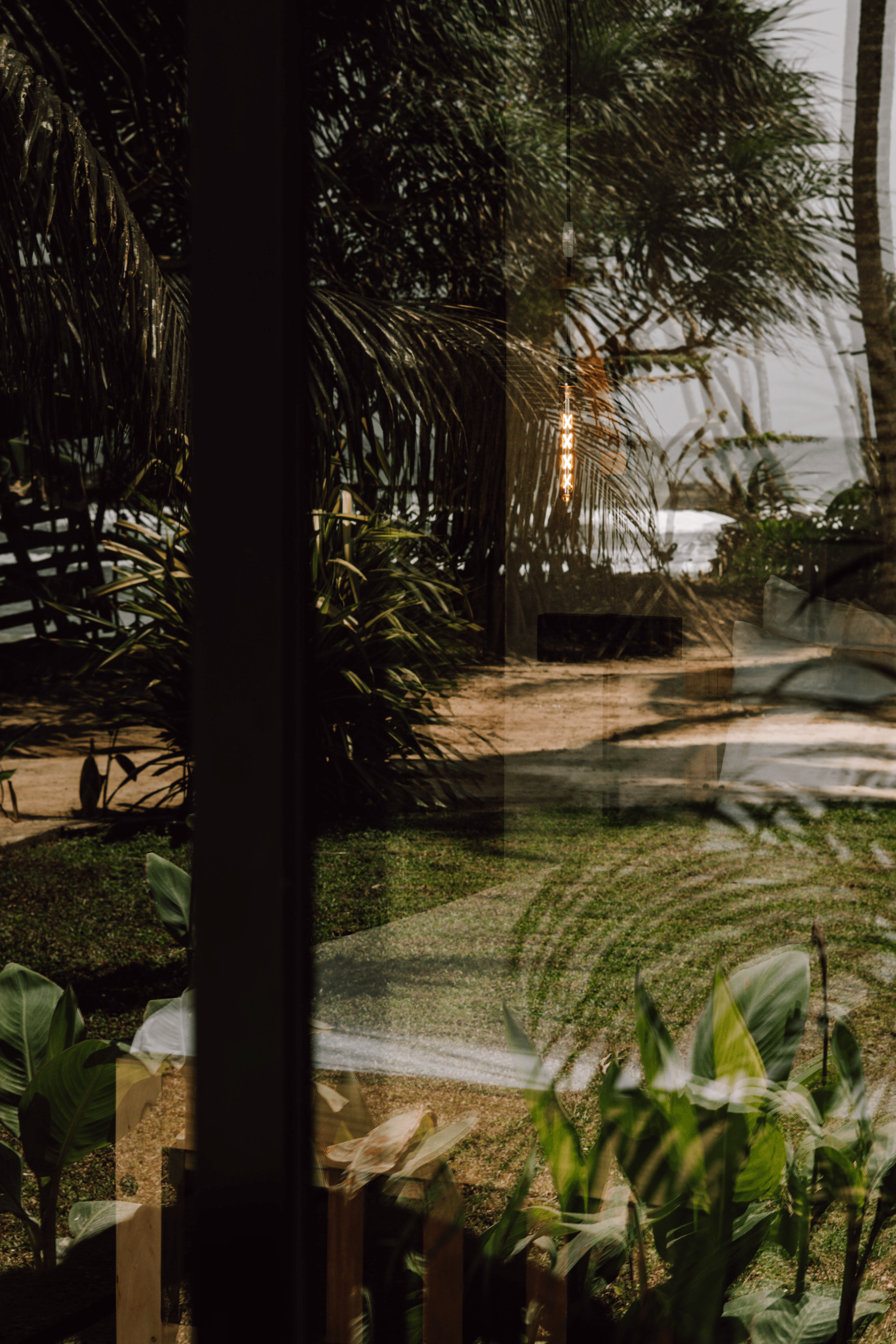 Reflection of palm trees and ocean view on glass