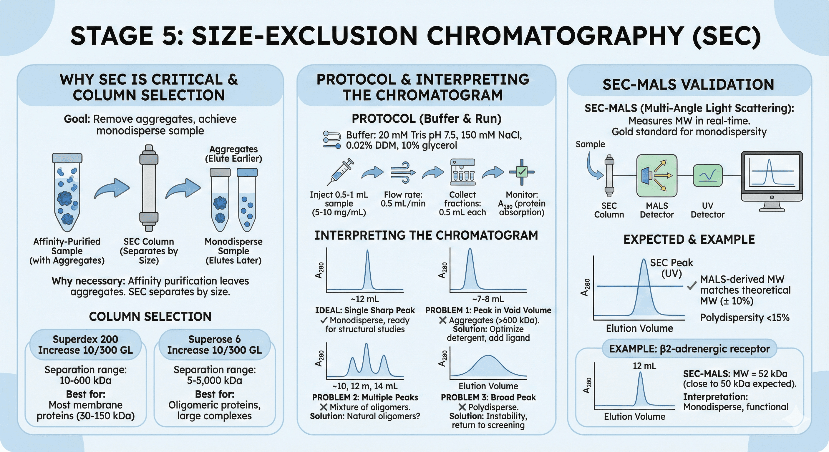 Diagram Showcasing Size-Exclusion Chromatography on Membrane Proteins