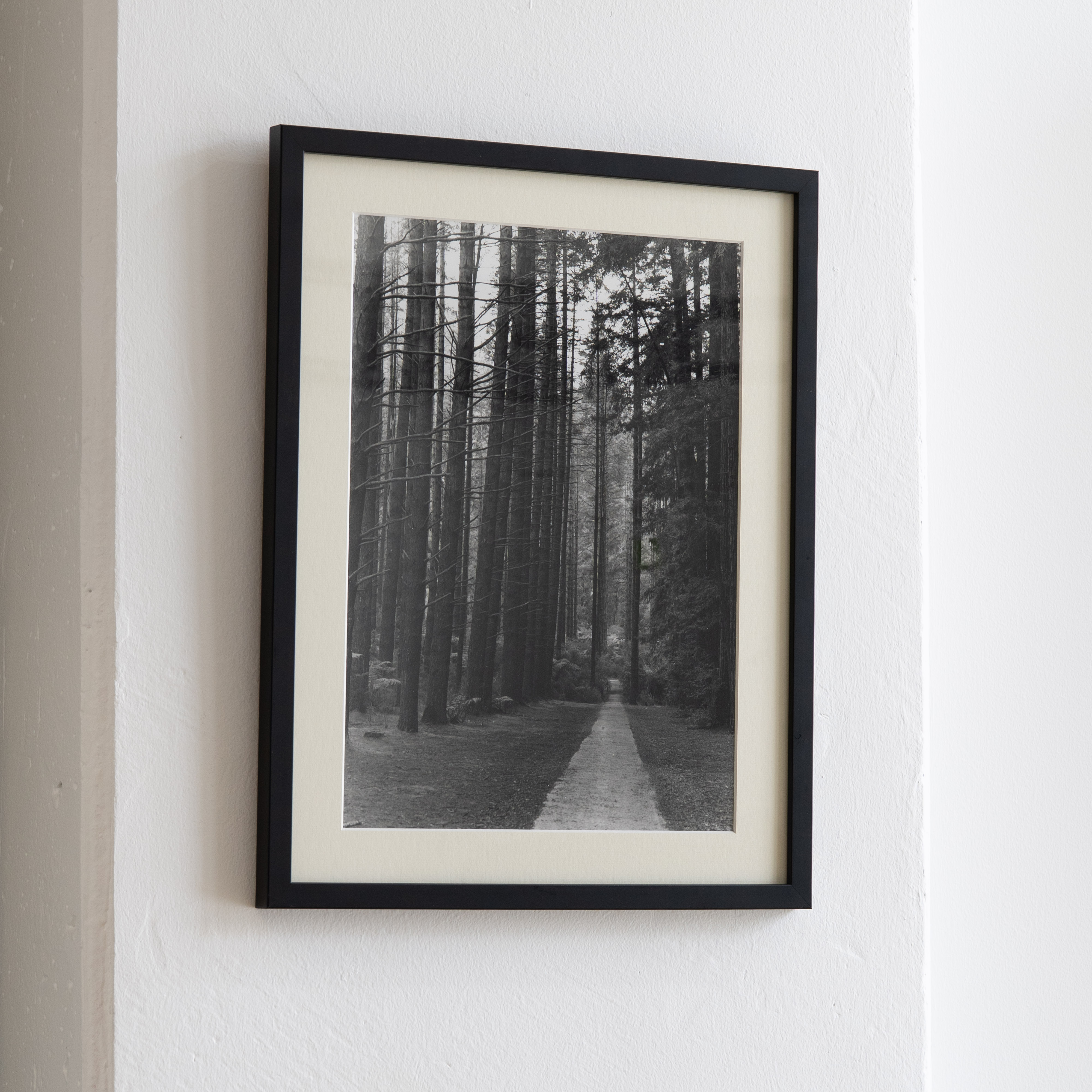 Darkroom prints drying on wire racks
