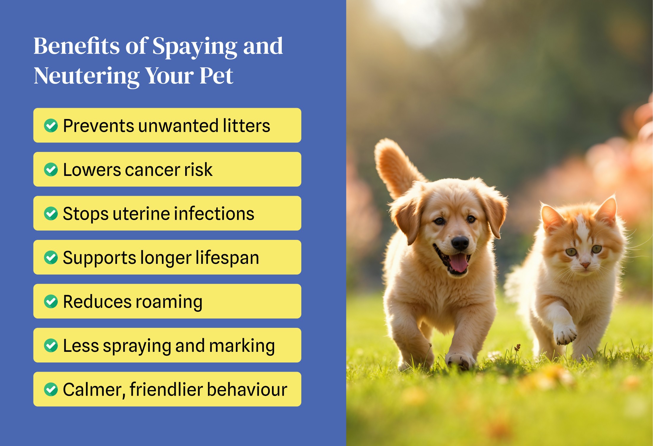 Key benefits of pet  neutering and spaying