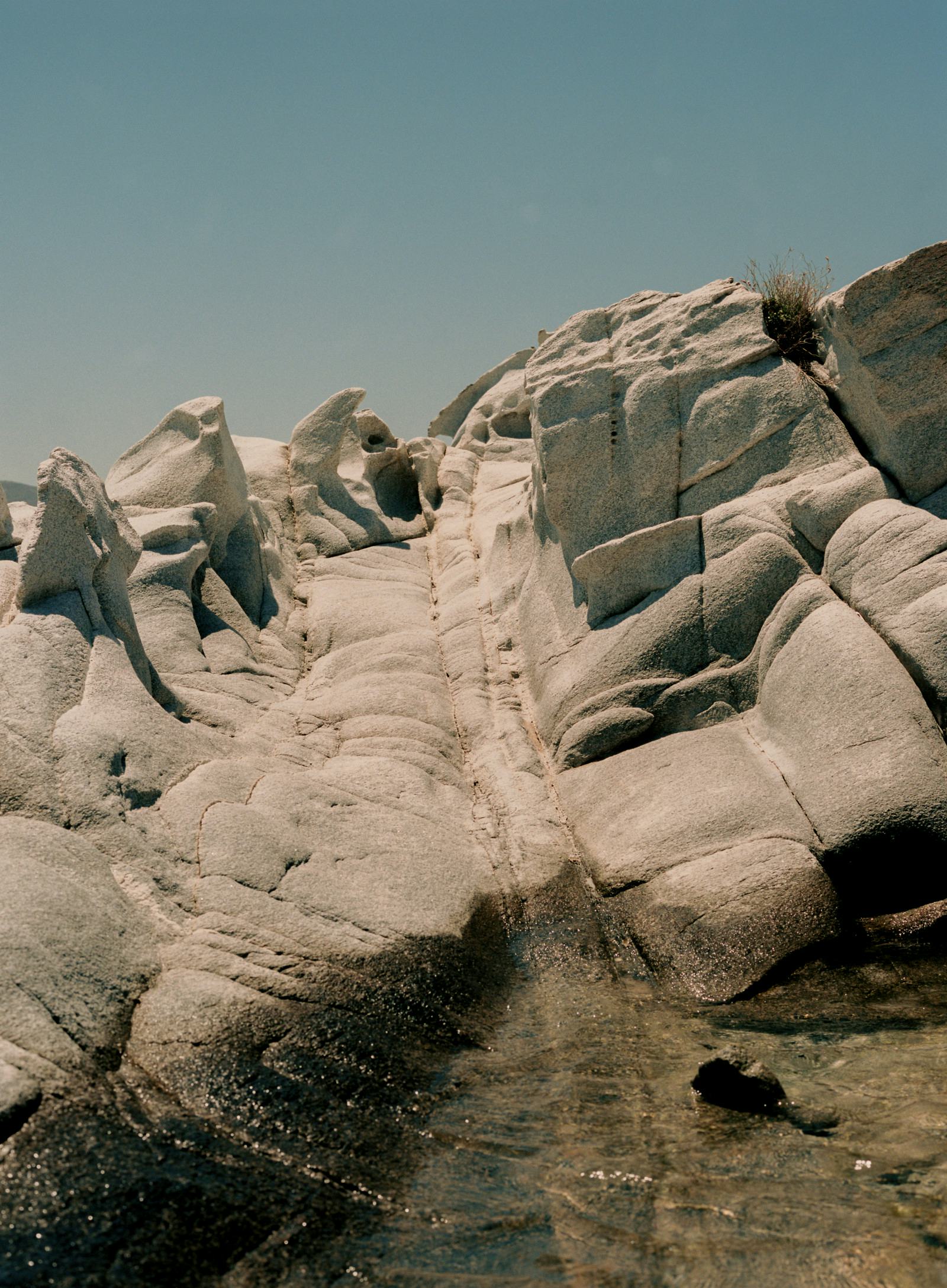 Video is the Shortcut to Virality Banner